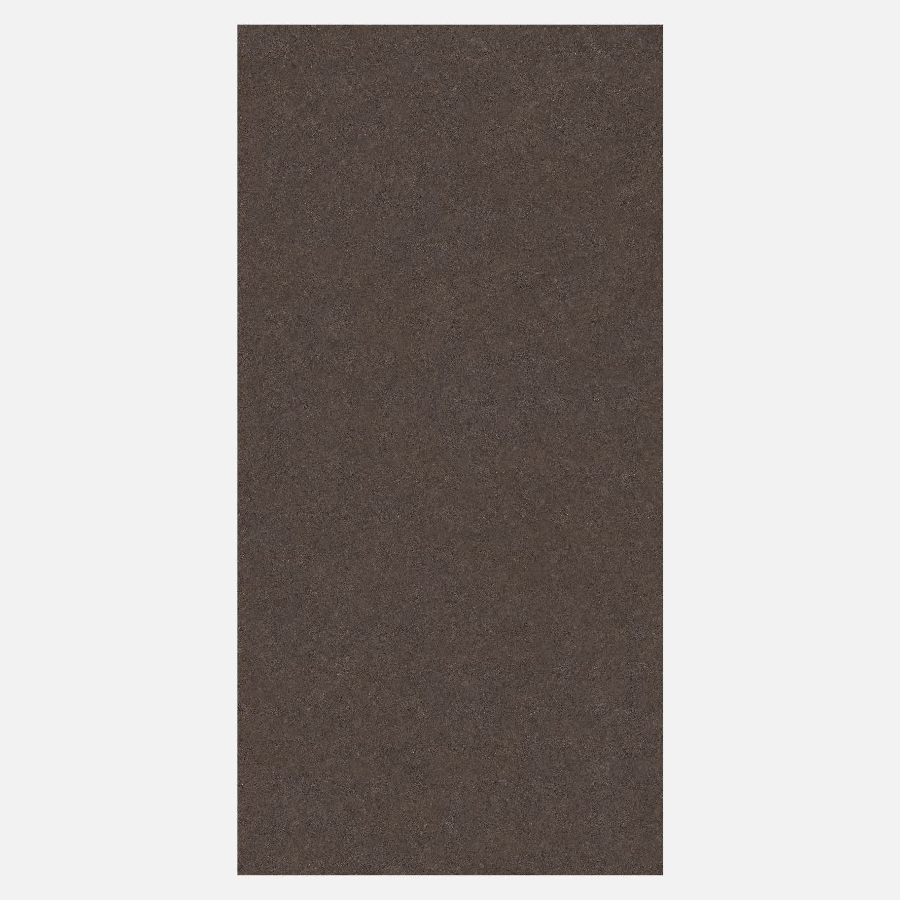 SEDON SIENNA - Image 4