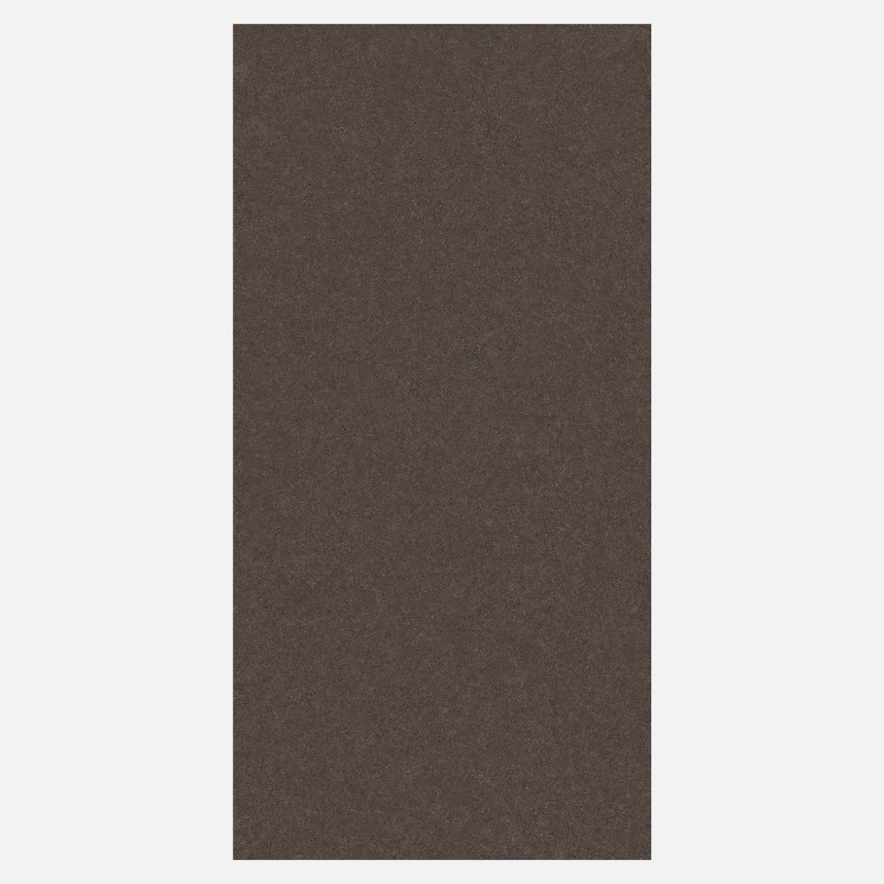 SEDON SIENNA - Image 5