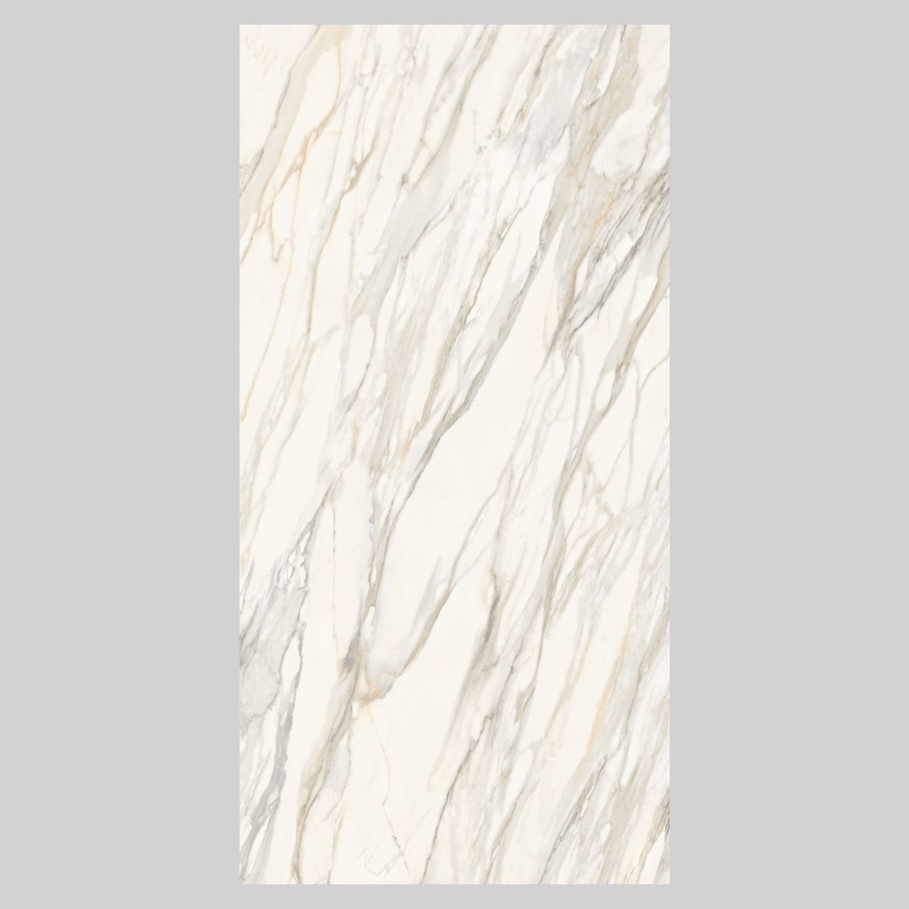 Borghini Ather - Image 5