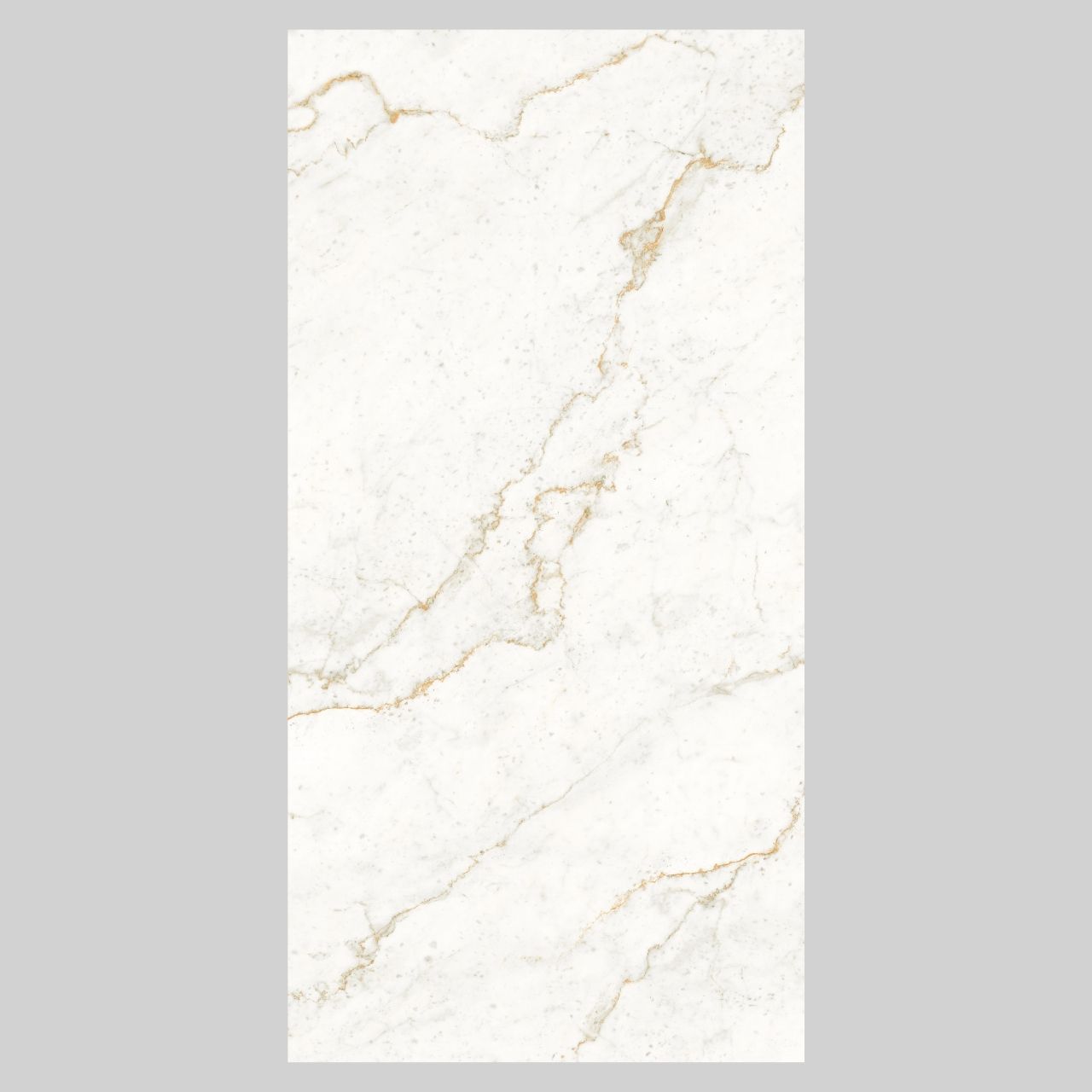Bianco Ascend - Image 4