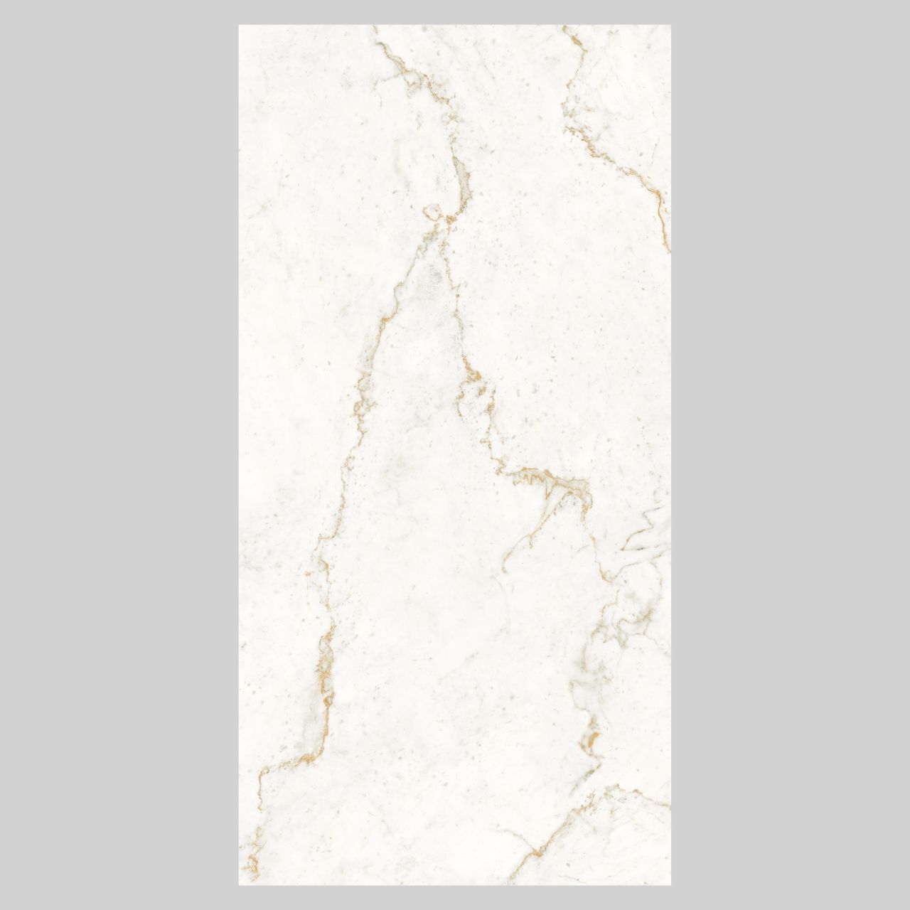 Bianco Ascend - Image 5