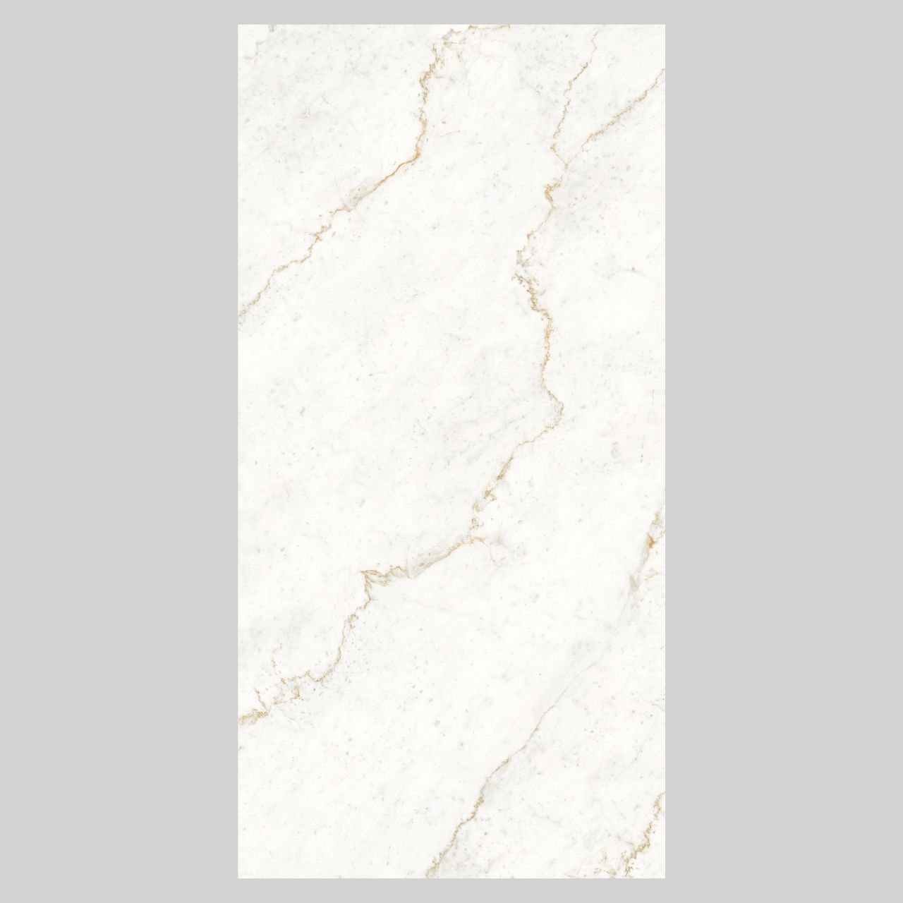 Bianco Ascend - Image 6