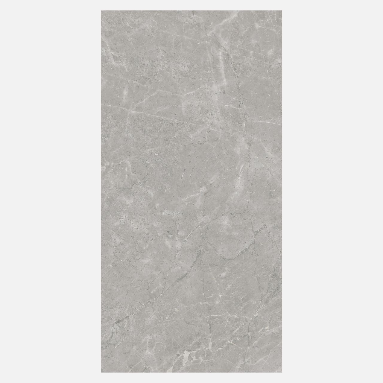 Monadrain Silver - Image 6